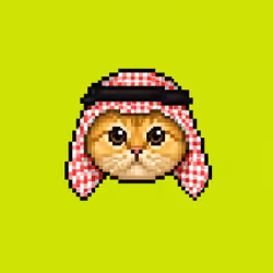 Saudis Cat Unrevealed