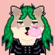 Cash Shibas #10090
