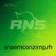 ansemconzimp.rh