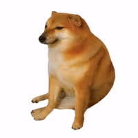 CASHDOG