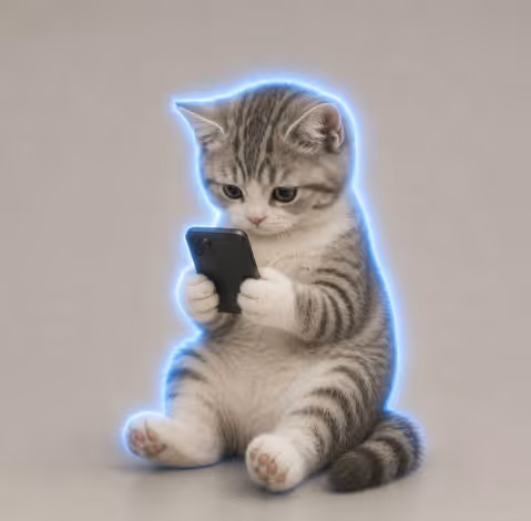 CATSCROLL