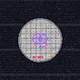 Alien CPU #1244 — Ghost Wafer