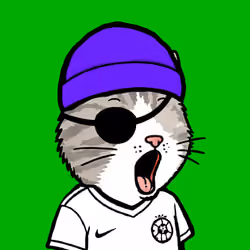 Pog Cats #3150
