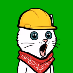 Pog Cats #1888