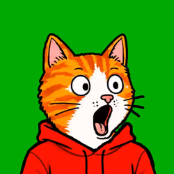Pog Cats #2007