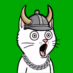 Pog Cats #2527