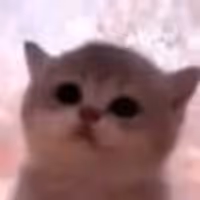 JAMCAT