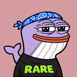 RARE WHALES #343
