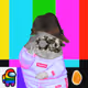 Cash Hamster #101
