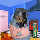 902