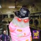 Cash Hamster #6266