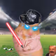 Cash Hamster #1165