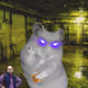 8665