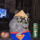 Cash Hamster #5140