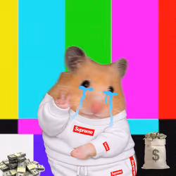Cash Hamster #5576