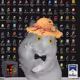 Cash Hamster #8949