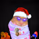 Cash Hamster #9280