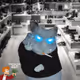 Cash Hamster #8521