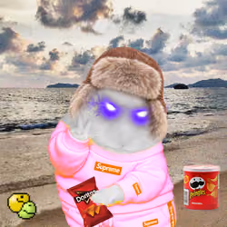 Cash Hamster #1584