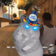 Cash Hamster #6309