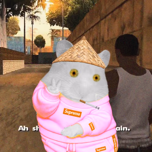 Cash Hamster #6664
