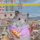 Cash Hamster #7475