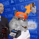 Cash Hamster #4970