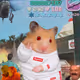 1184
