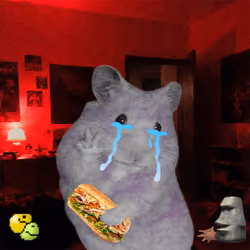 Cash Hamster #6068