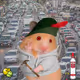 Cash Hamster #220