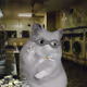 7753