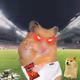 Cash Hamster #6005