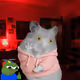 Cash Hamster #9515