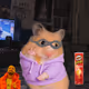 Cash Hamster #4744