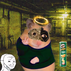 Cash Hamster #9671