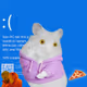 2927