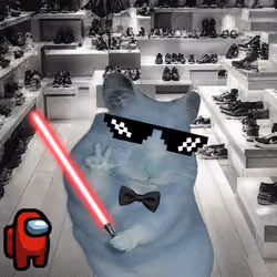 Cash Hamster #2971