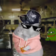 Cash Hamster #7703