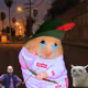 801