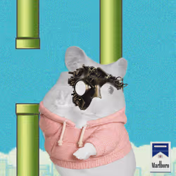 Cash Hamster #6105