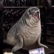 4290