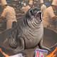 3481