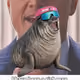 8214