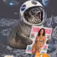 Cash Seal 1355