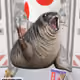 4289