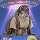 Cash Seal 7013