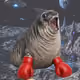 7027