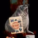 Cash Seal 6889