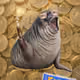 7536