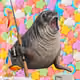 974